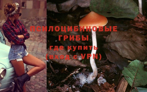амф Баксан