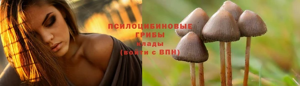 амф Баксан