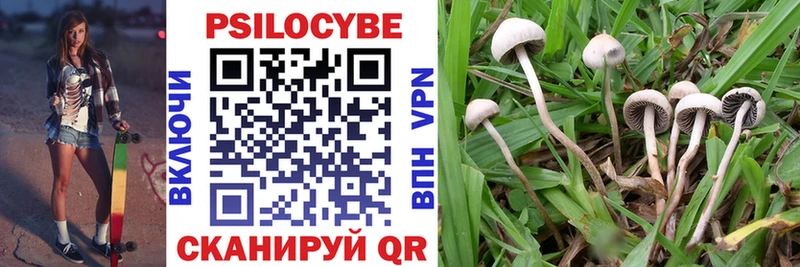 Галлюциногенные грибы Magic Shrooms  Озёры 